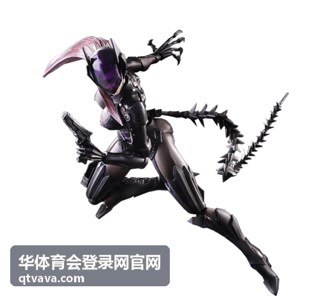 华体育会登录网官网开幕战赛场画面