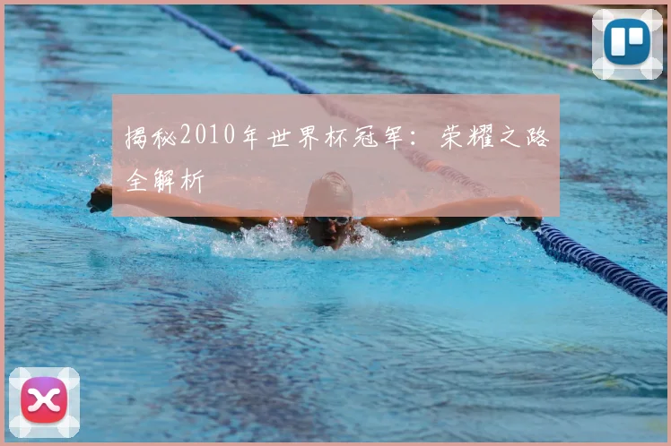 揭秘2010年世界杯冠军:荣耀之路全解析