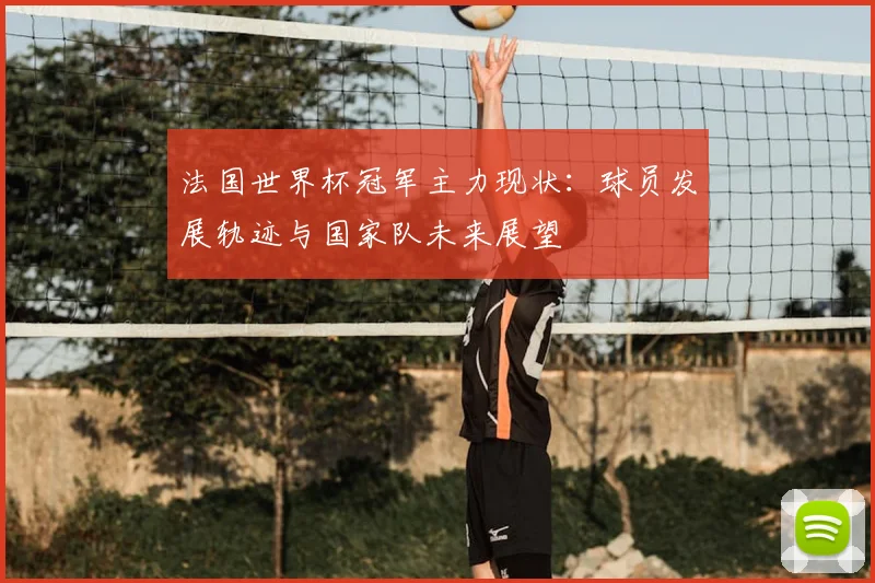 法国世界杯冠军主力现状:球员发展轨迹与国家队未来展望